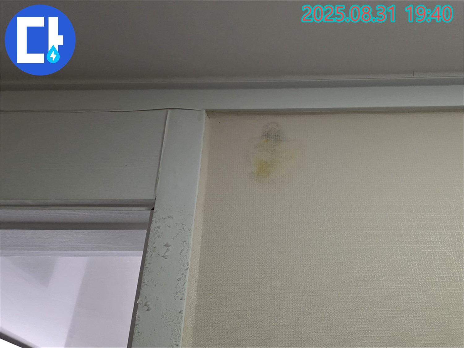 벽 얼룩 원인 - 성남시 분당구 산운로 누수