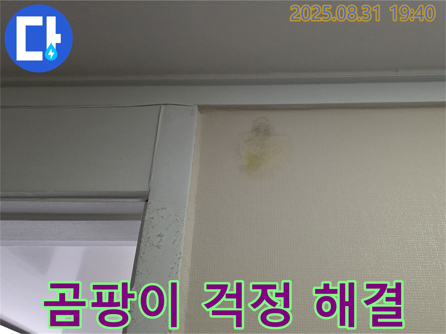 곰팡이 걱정 - 누수 원인 - 분당 산운동 누수 - 합리적인 비용
