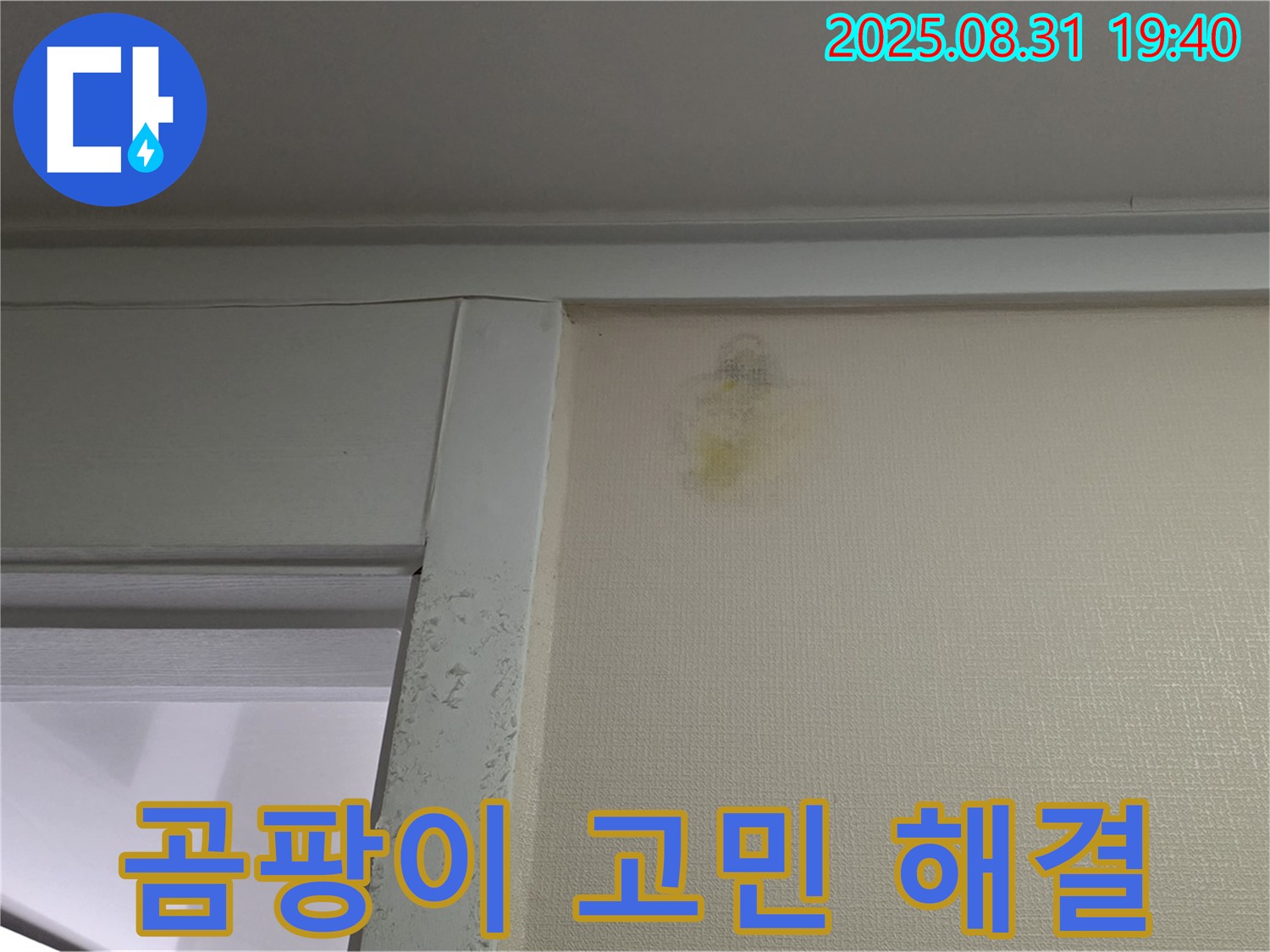 곰팡이 고민 해결 - 성남 분당 산운동 누수 - 전문가 해결