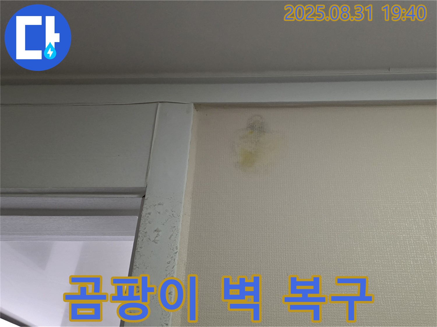 곰팡이 벽 복구 - 분당 산운동 누수 - 완벽한 탐지