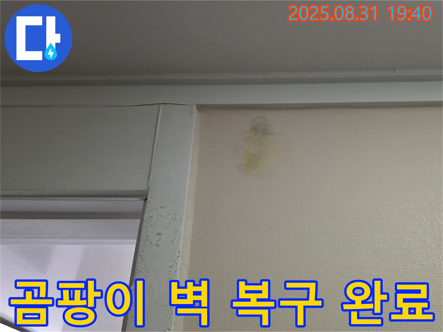 곰팡이 벽 복구 완료 - 산운동 누수 해결 - 분당구