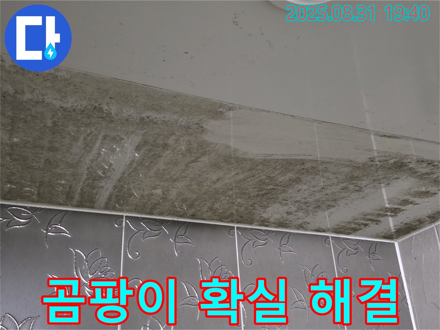 곰팡이 핀 욕실 천장 - 누수로 인한 곰팡이 심각