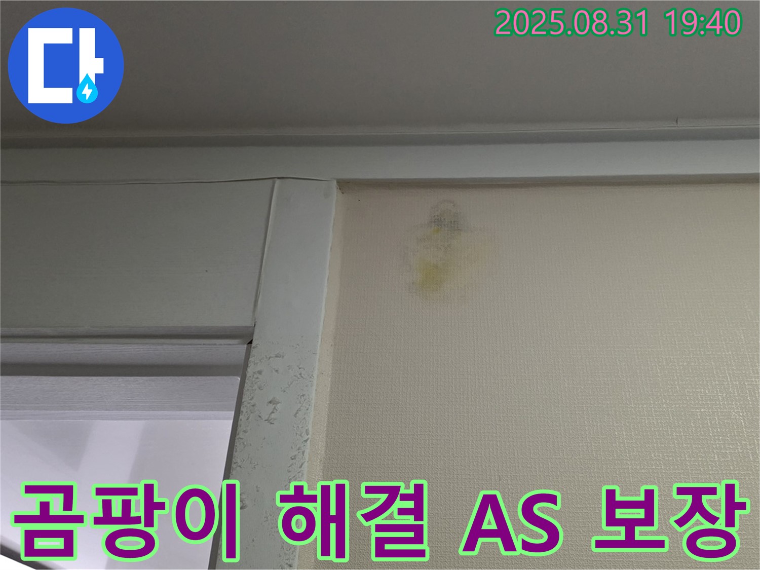 곰팡이 해결 - 분당 산운동 누수 - 완벽 시공 AS 보장