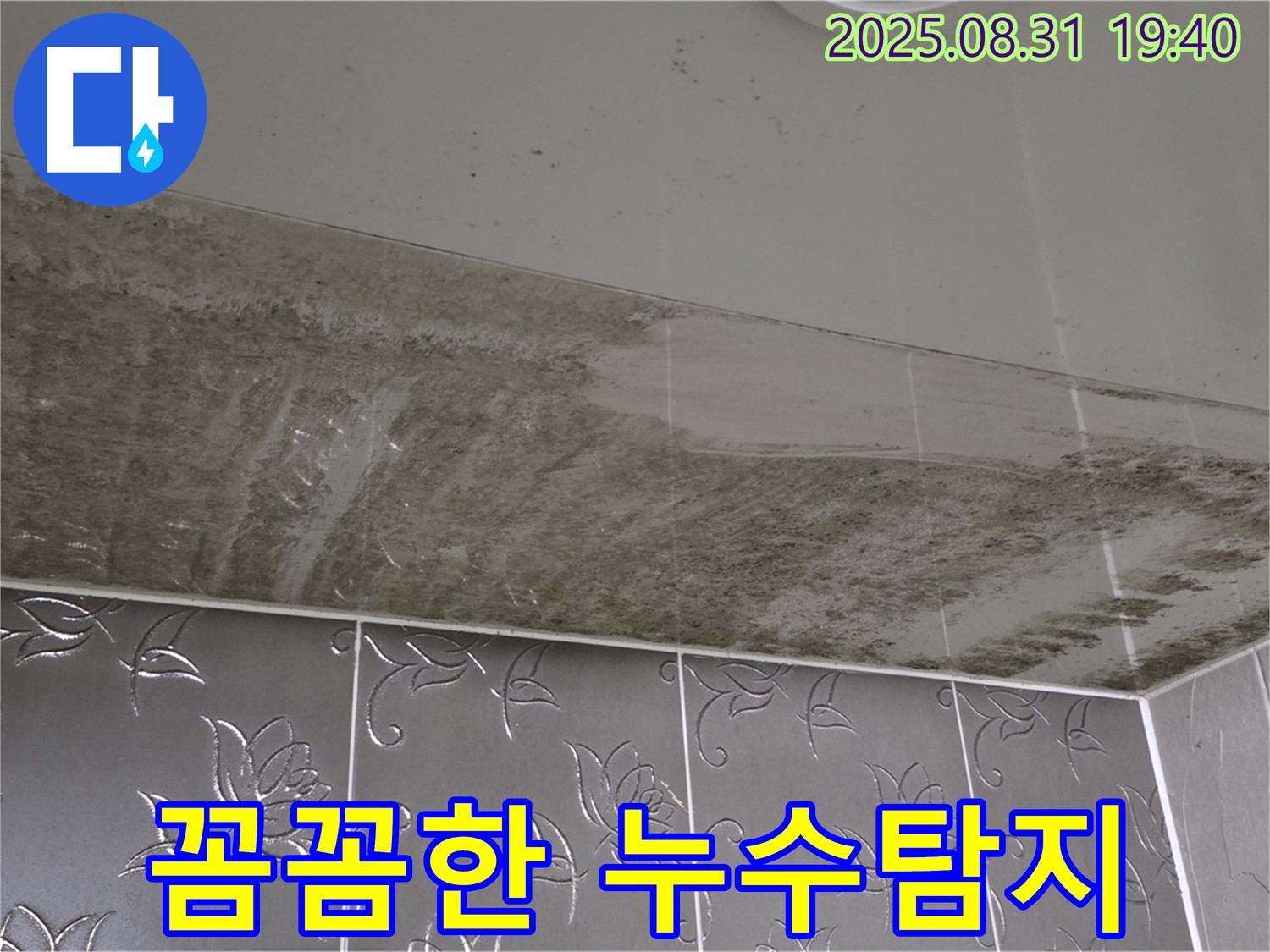 꼼꼼한 누수탐지 - 숙련된 기술과 첨단 장비로 분석