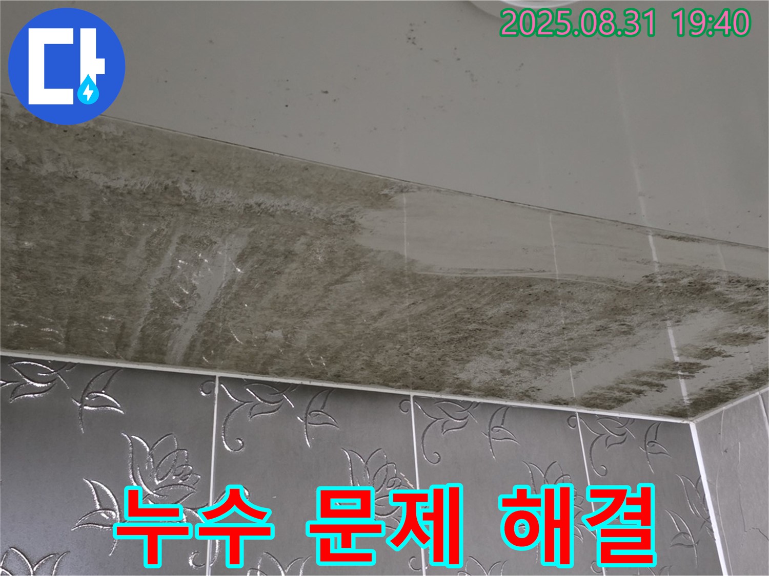 누수 문제 해결 - 숙련된 전문가가 확실하게 해결