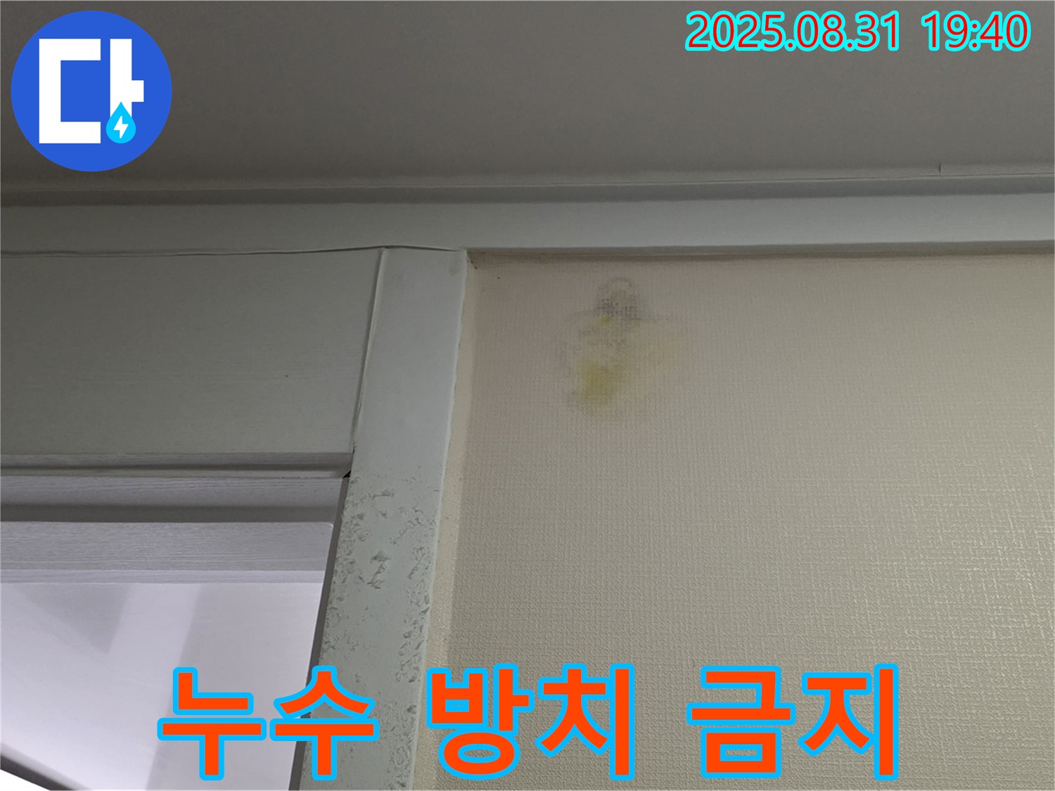 누수 방치 금지 - 성남 분당 산운동 누수 - 전문가 해결