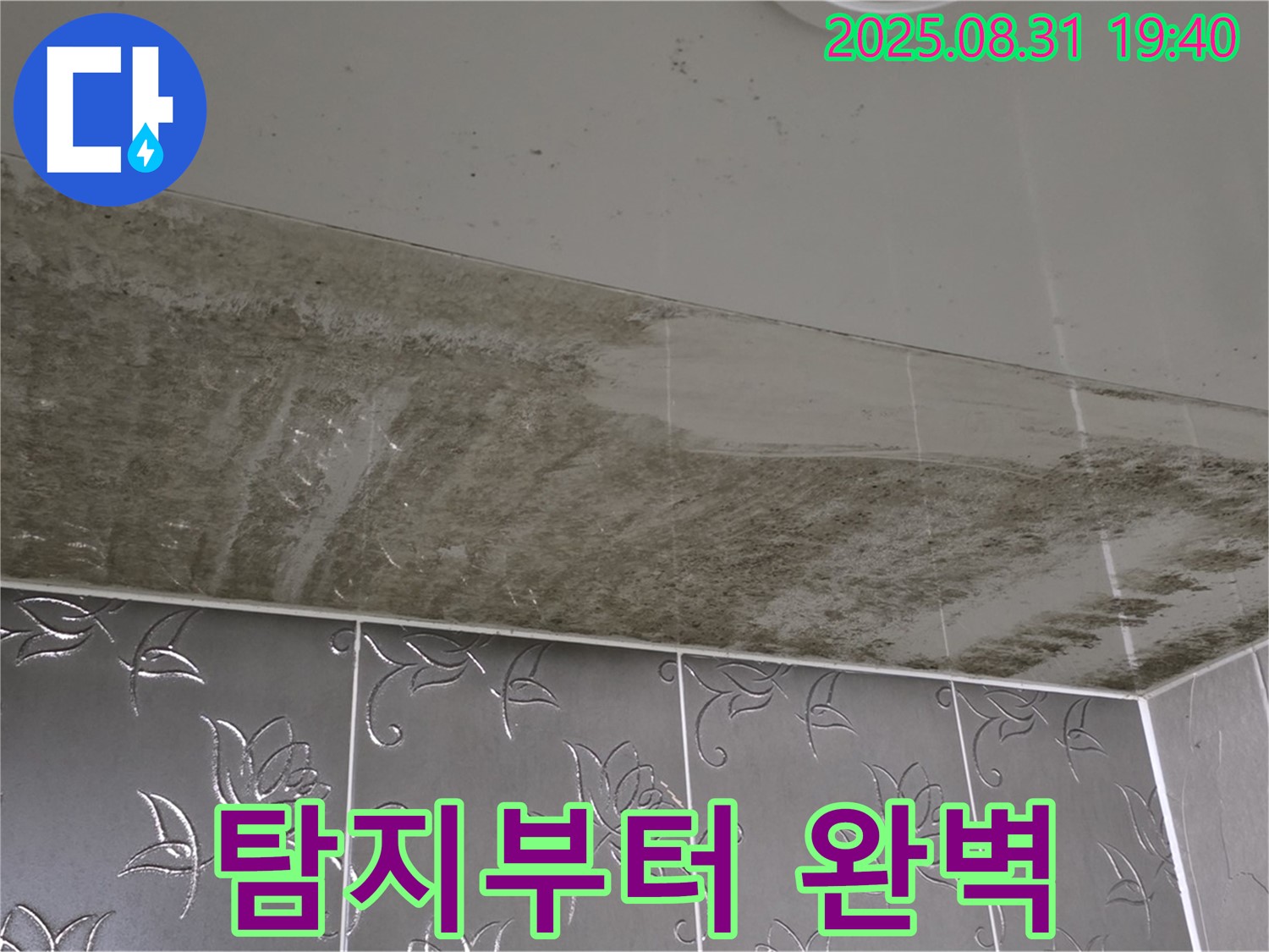 누수탐지 완벽 공사 - 정확한 원인 파악과 곰팡이 제거
