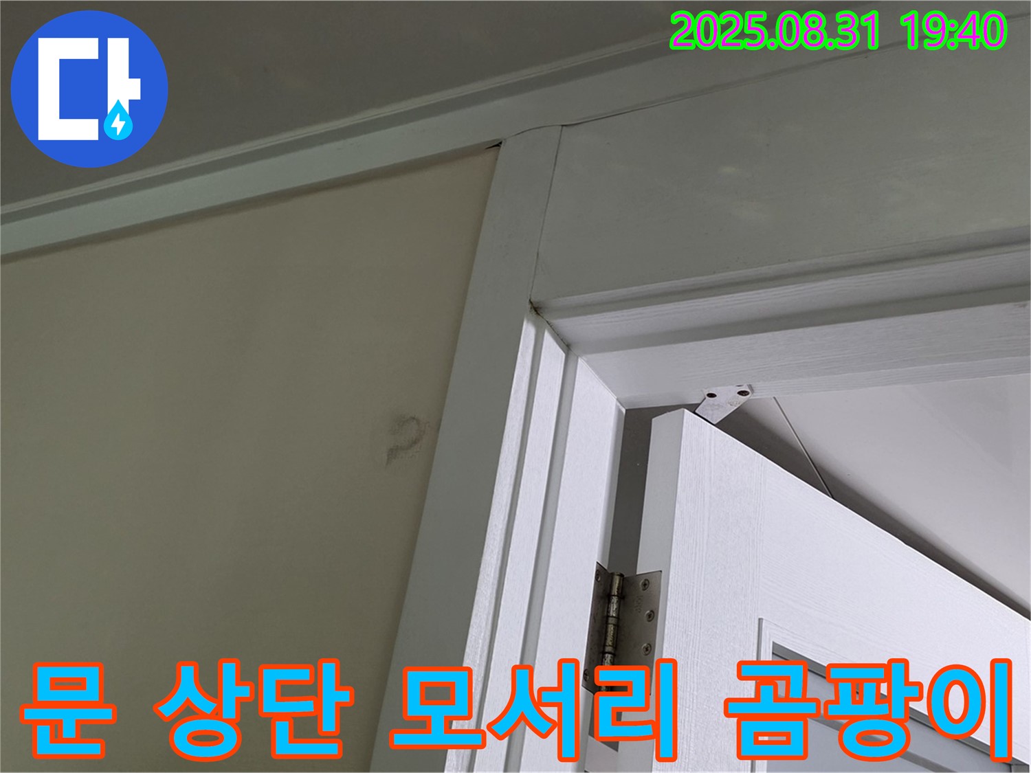 문 상단 모서리 곰팡이 - 문 상단 모서리에 곰팡이가 발생했습니다.