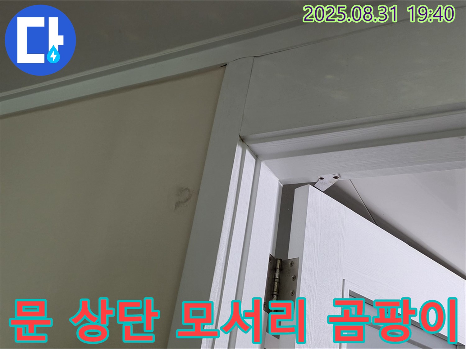 문 상단 모서리 곰팡이 - 문 상단 모서리에 곰팡이가 발생했습니다.