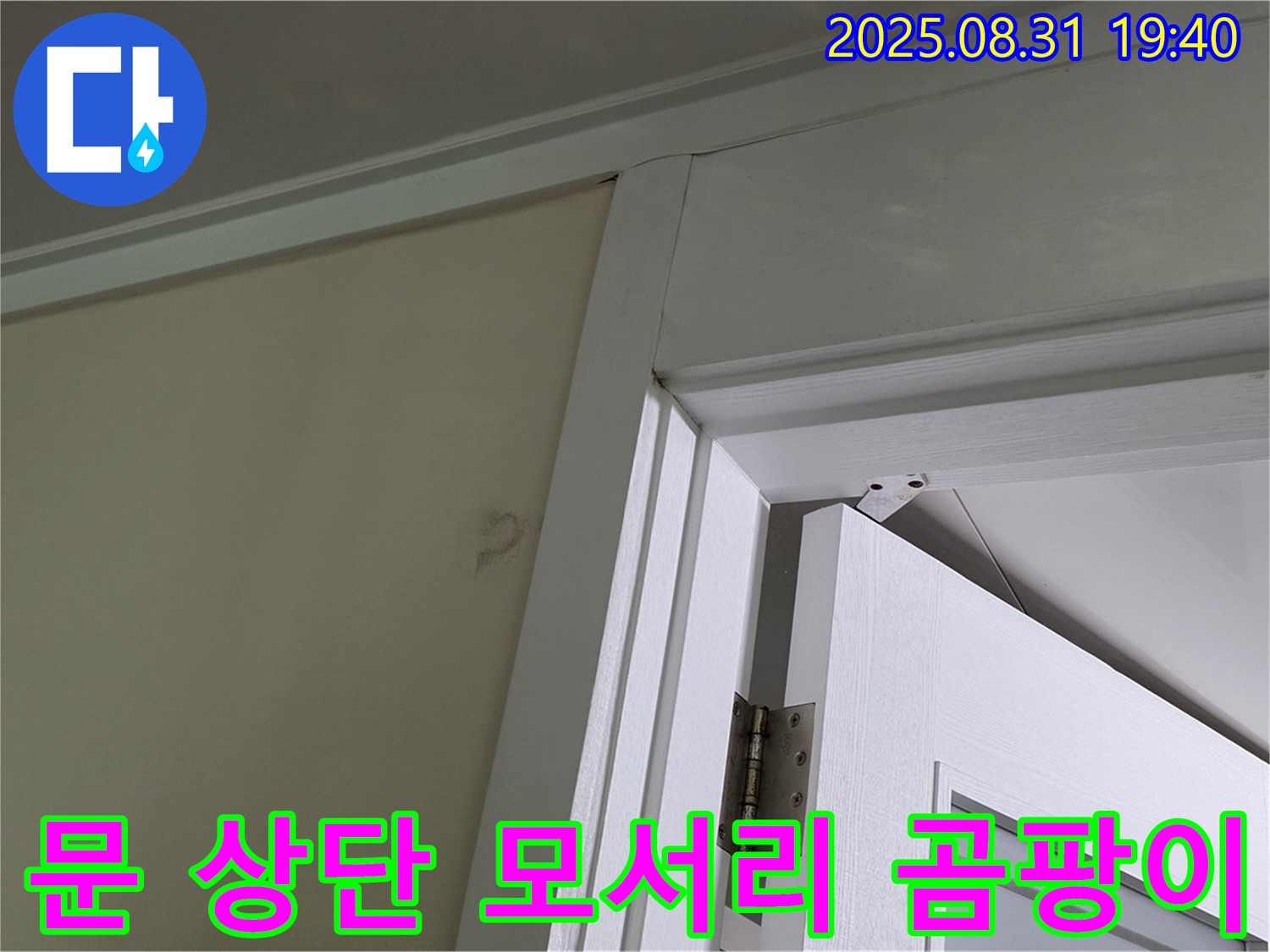 문 상단 모서리 곰팡이 - 천장과 문 상단 모서리 사이에 곰팡이가 피어 있습니다.