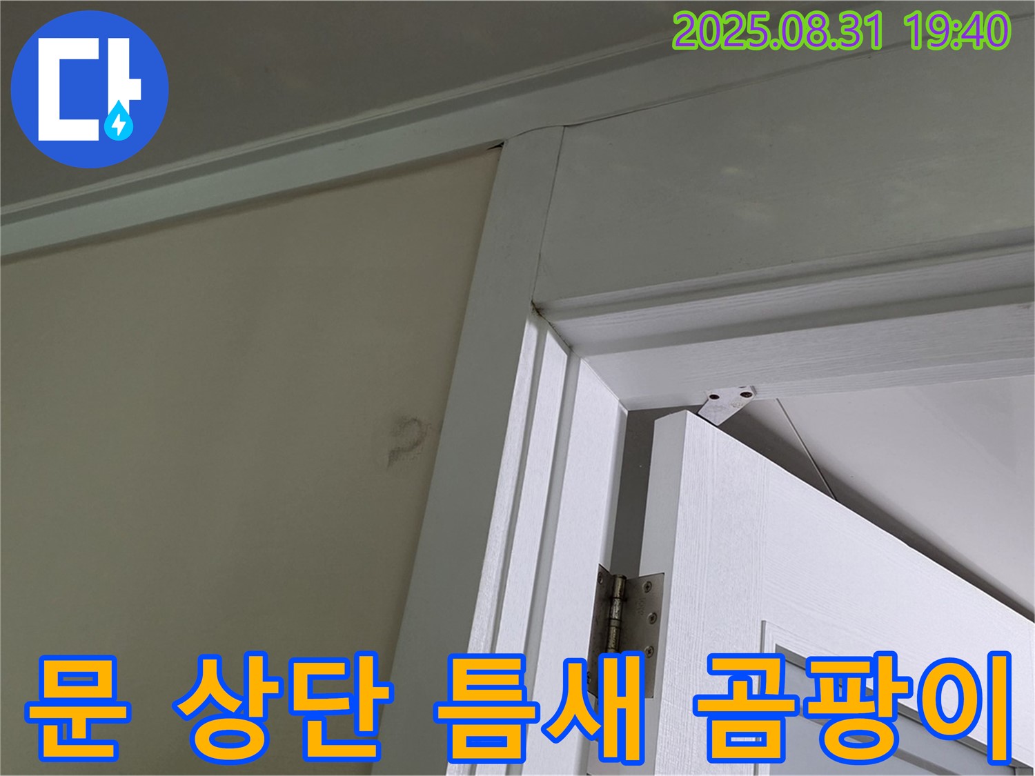 문 상단 틈새 곰팡이 - 문 상단 틈새에 곰팡이가 발생했습니다.