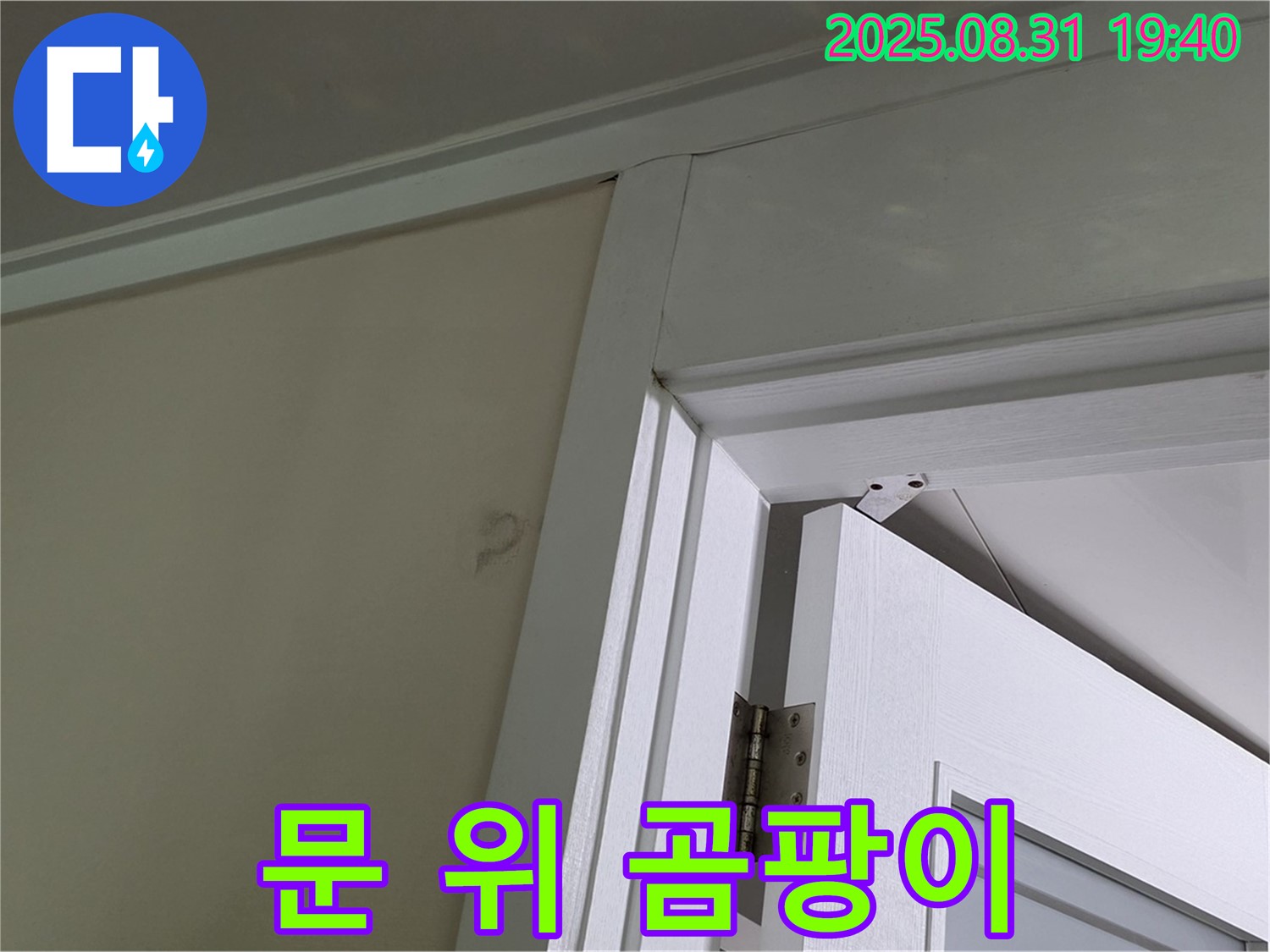 문 위 곰팡이 - 문 위 천장에 곰팡이가 발생했습니다.
