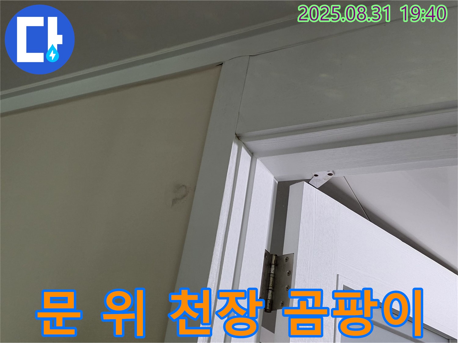 문 위 천장 곰팡이 - 문 위 천장에 곰팡이가 발생했습니다.