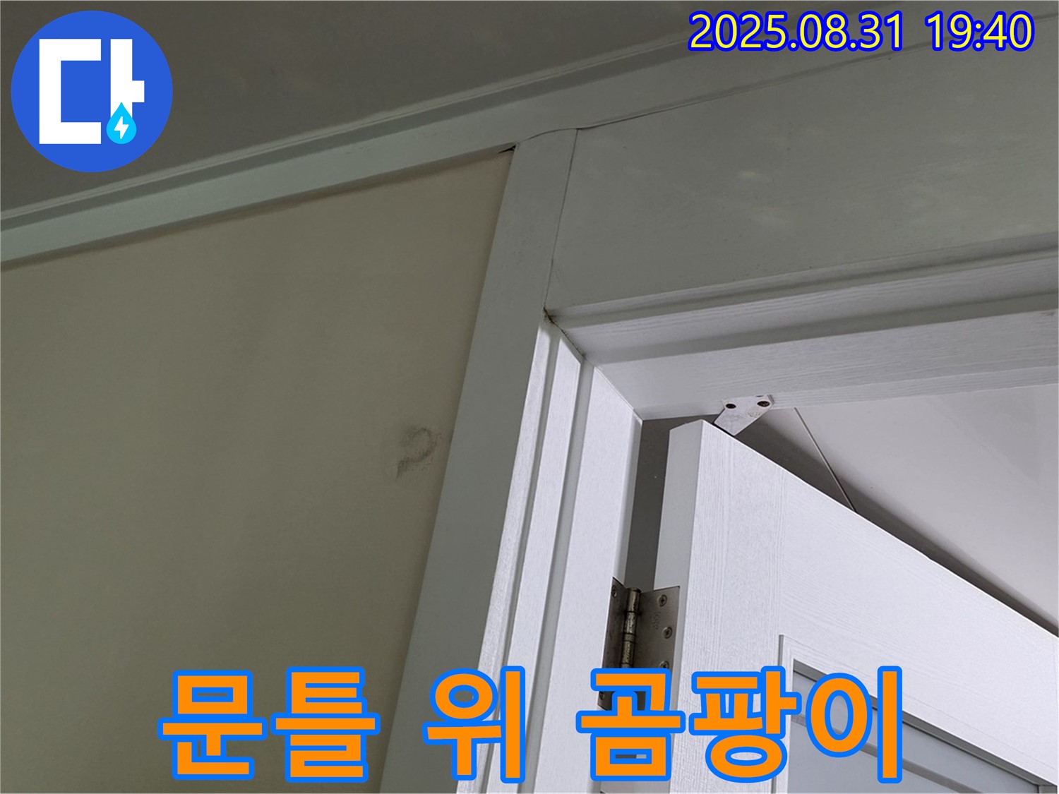문틀 위 곰팡이 - 문틀 위 천장에 곰팡이가 발생했습니다.
