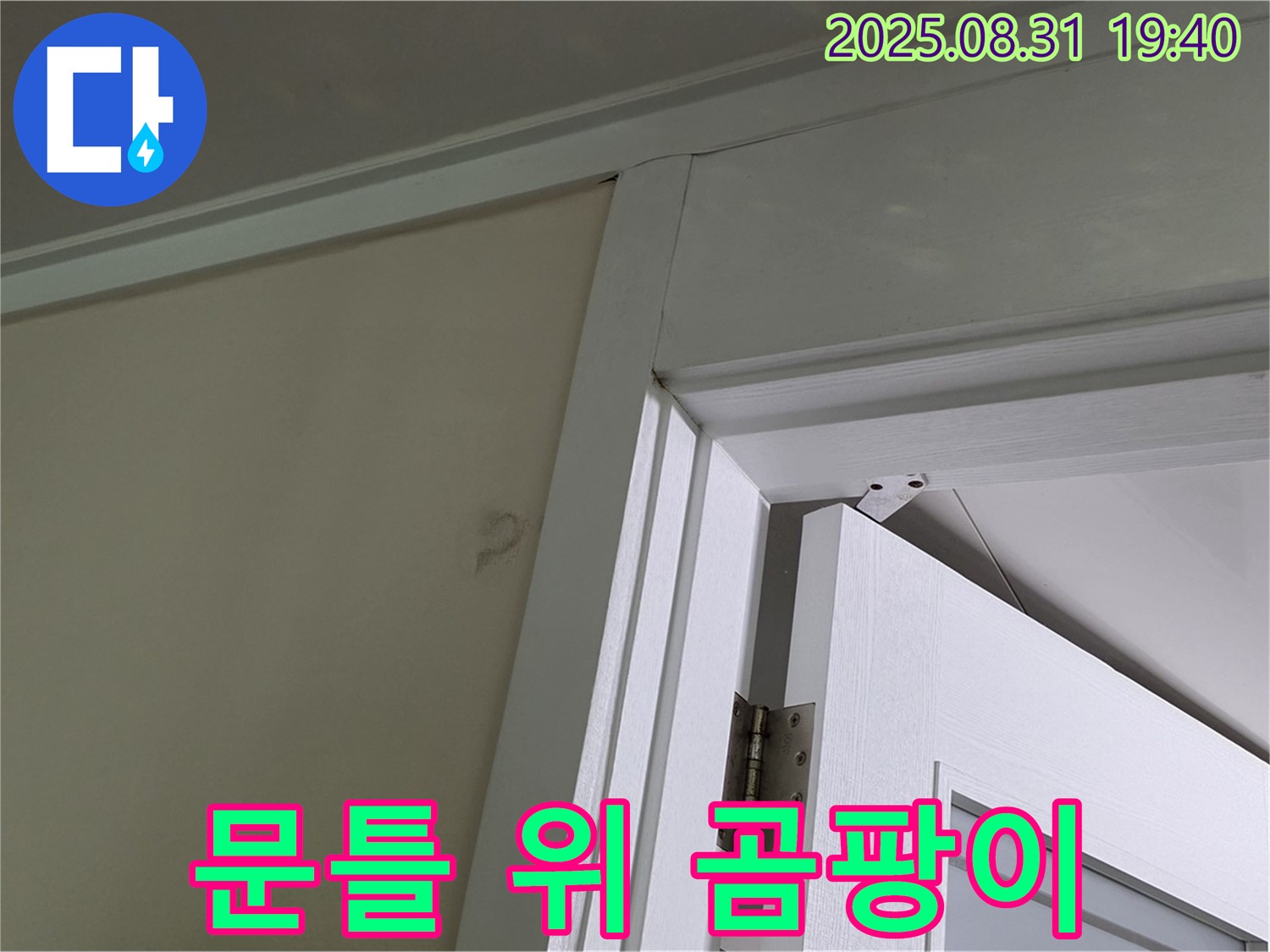 문틀 위 곰팡이 - 문틀 위 천장에 곰팡이가 발생했습니다.