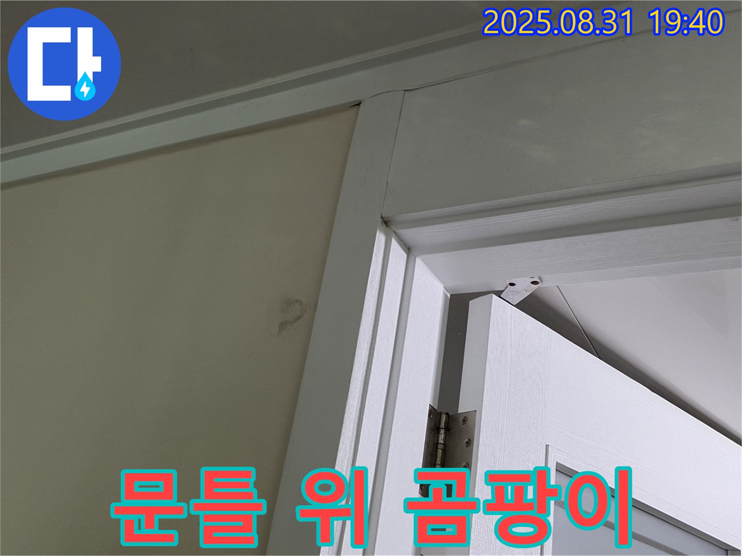 문틀 위 곰팡이 - 문틀 위 천장에 곰팡이가 발생했습니다.