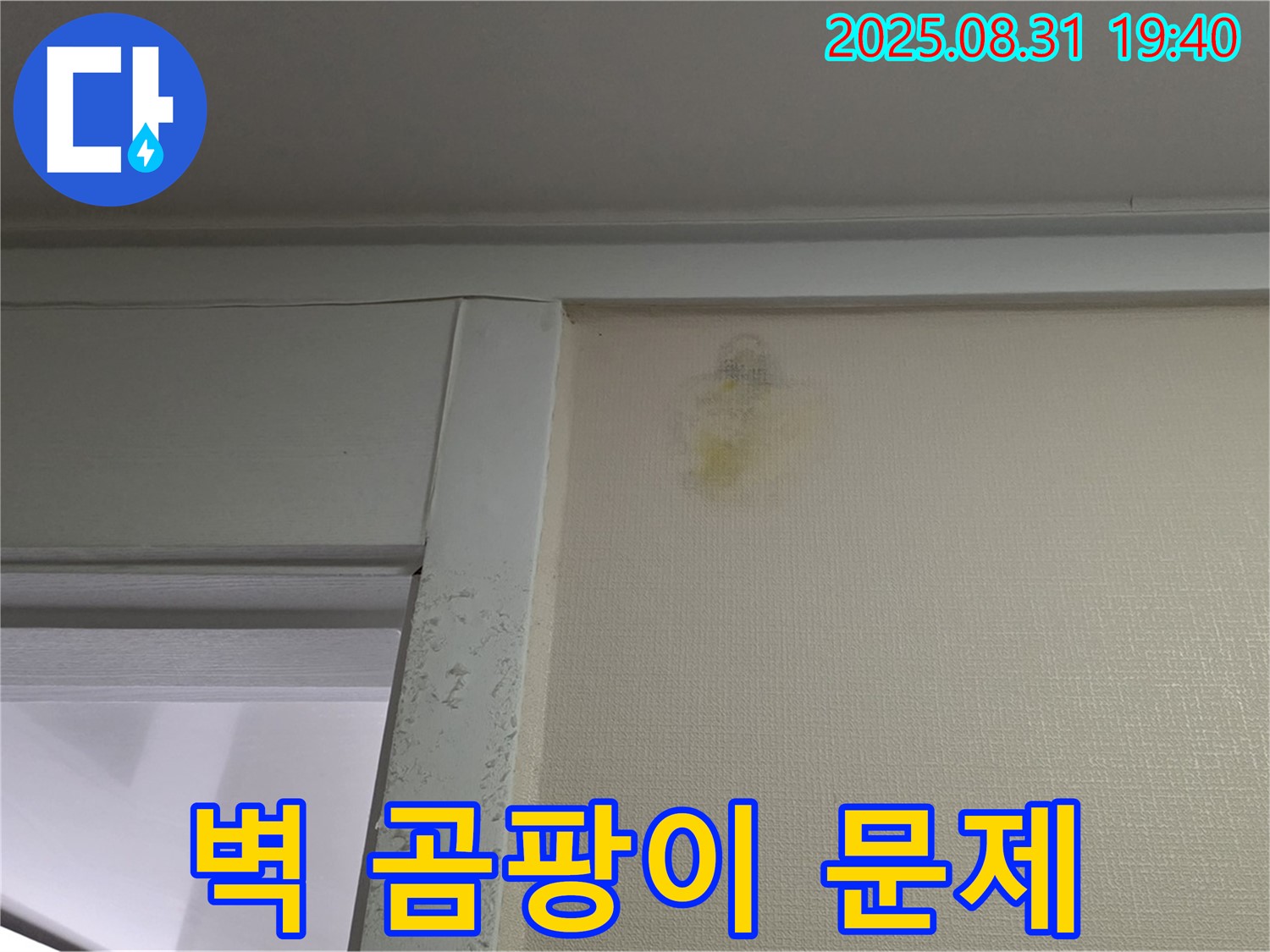 벽 곰팡이 문제 - 성남 분당 산운동 누수 - 전문가 해결