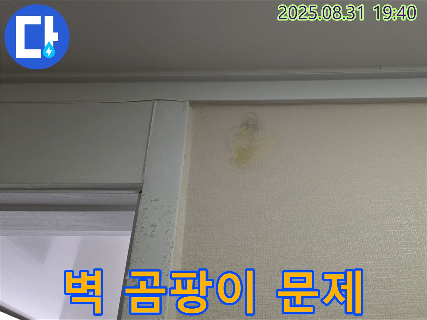 벽 곰팡이 문제 - 성남 분당 정자동 누수 - 전문가 해결