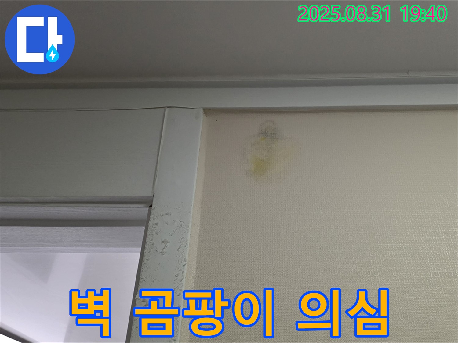 벽 곰팡이 발생 - 분당구 산운동 누수 의심