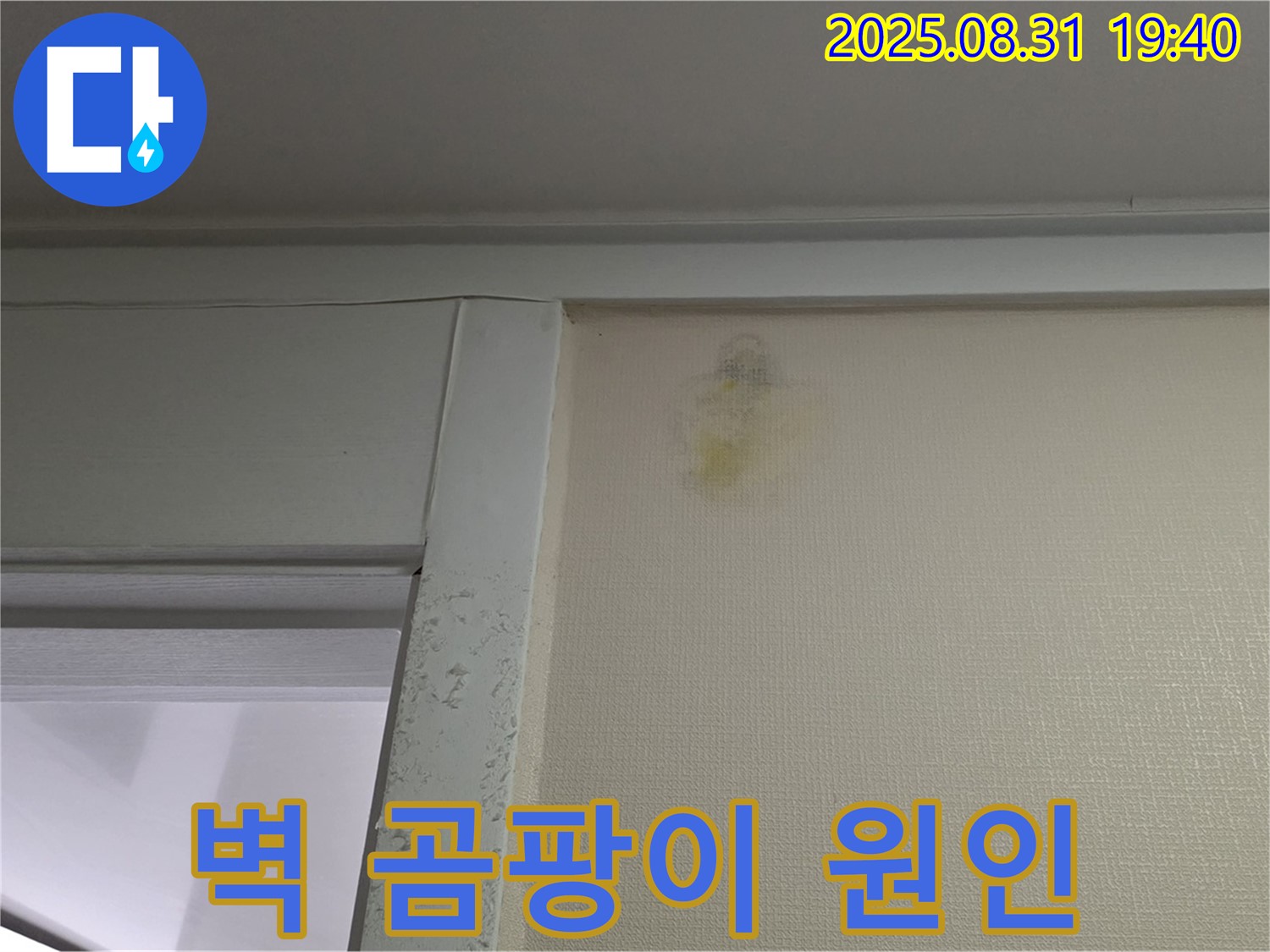 벽 곰팡이 원인 - 성남 분당 백현동 누수탐지