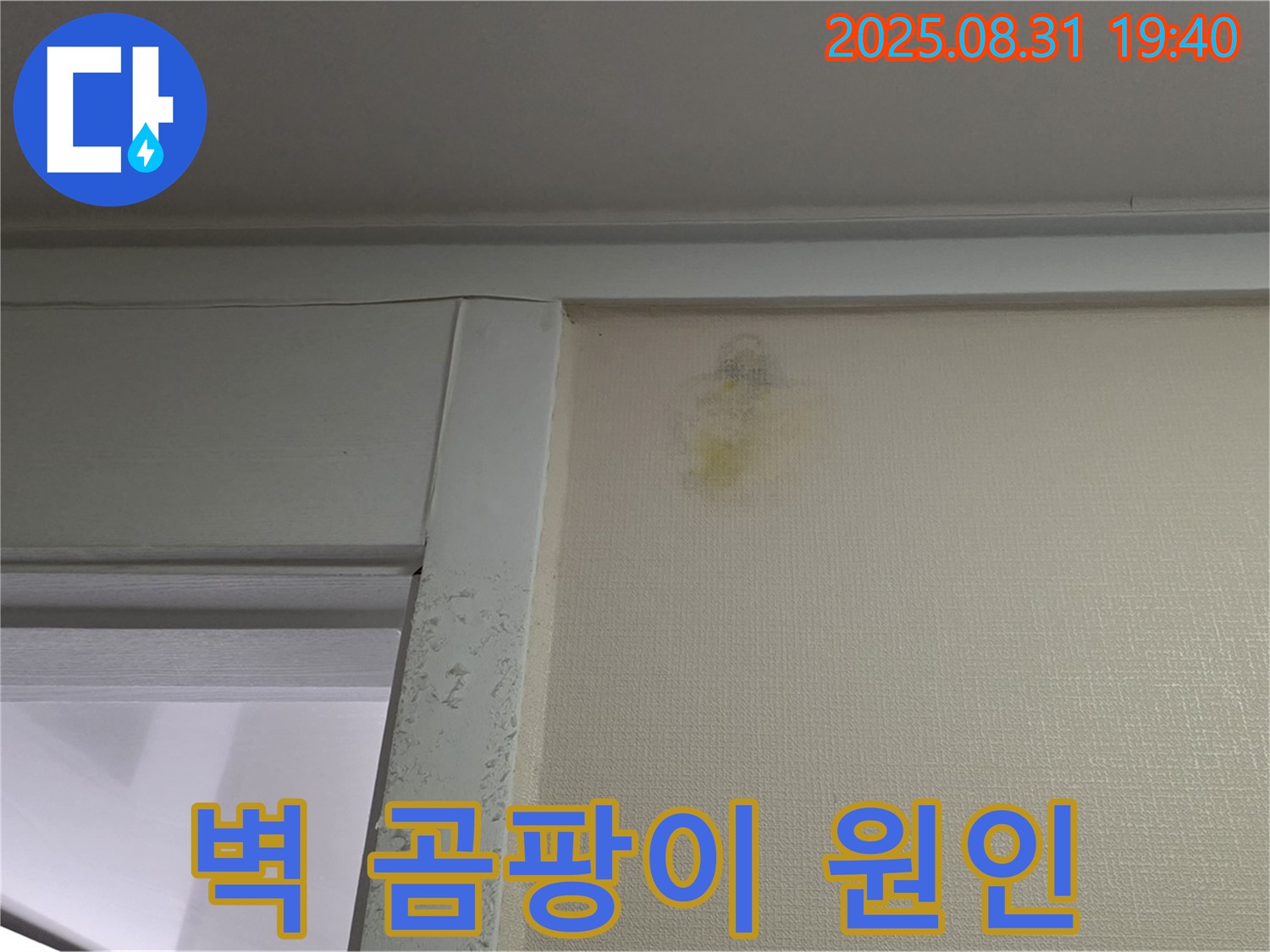 벽 곰팡이 원인 - 성남 분당 산운동 누수탐지