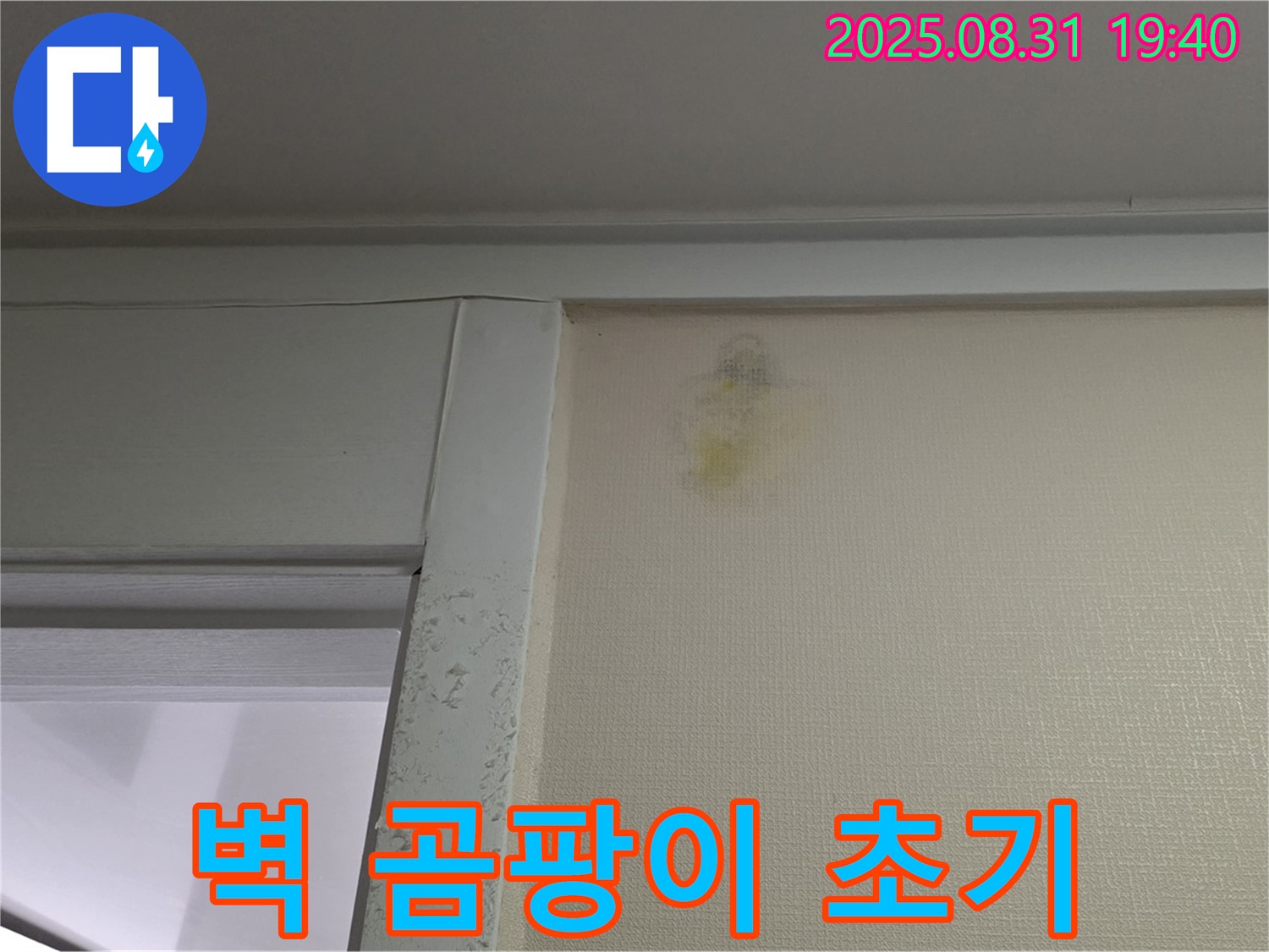 벽 곰팡이 초기 증상 - 분당구 산운동 누수 의심