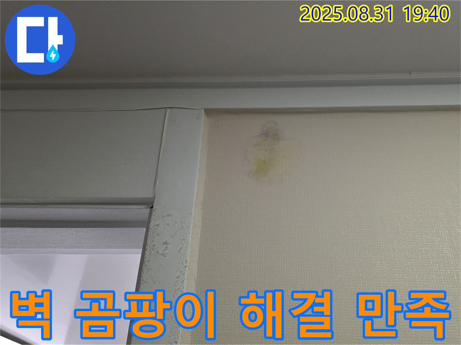벽 곰팡이 해결 - 분당 산운동 누수 - 100% 만족
