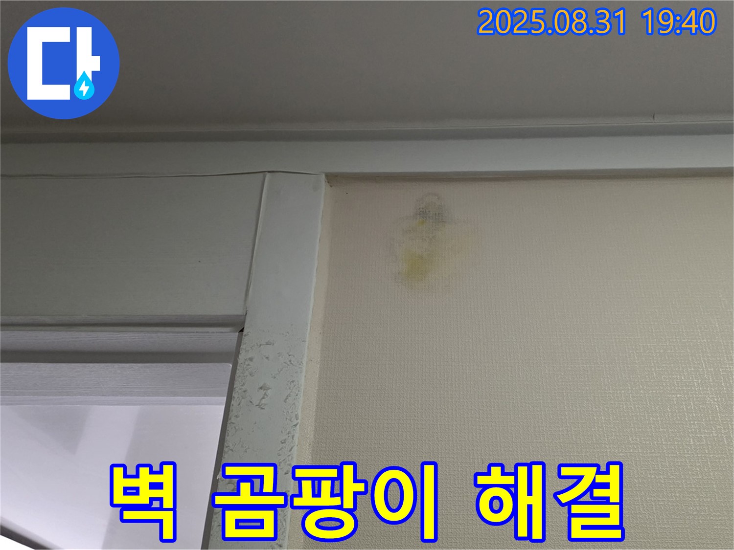 벽 곰팡이 해결 - 분당 산운동 누수 - 확실한 해결