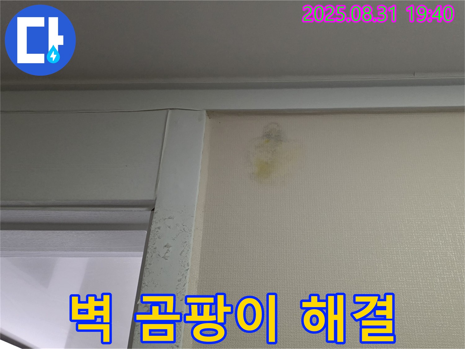 벽 곰팡이 해결 - 성남 분당 백현동 누수 - 걱정 끝