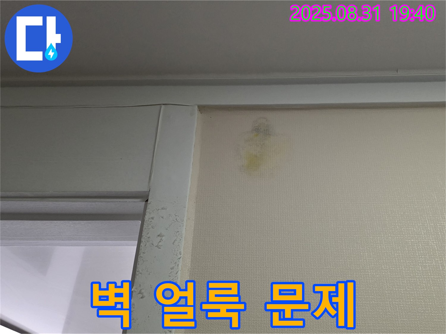 벽 얼룩 문제 - 성남 분당 이매동 누수 - 전문가 해결