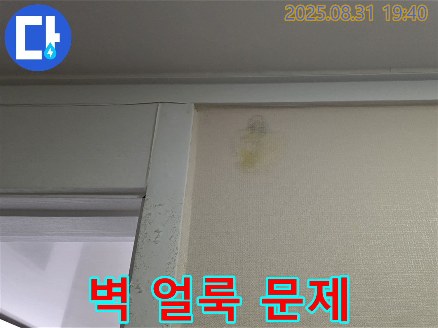 벽 얼룩 문제 - 성남 분당 정자동 누수 - 전문가 해결