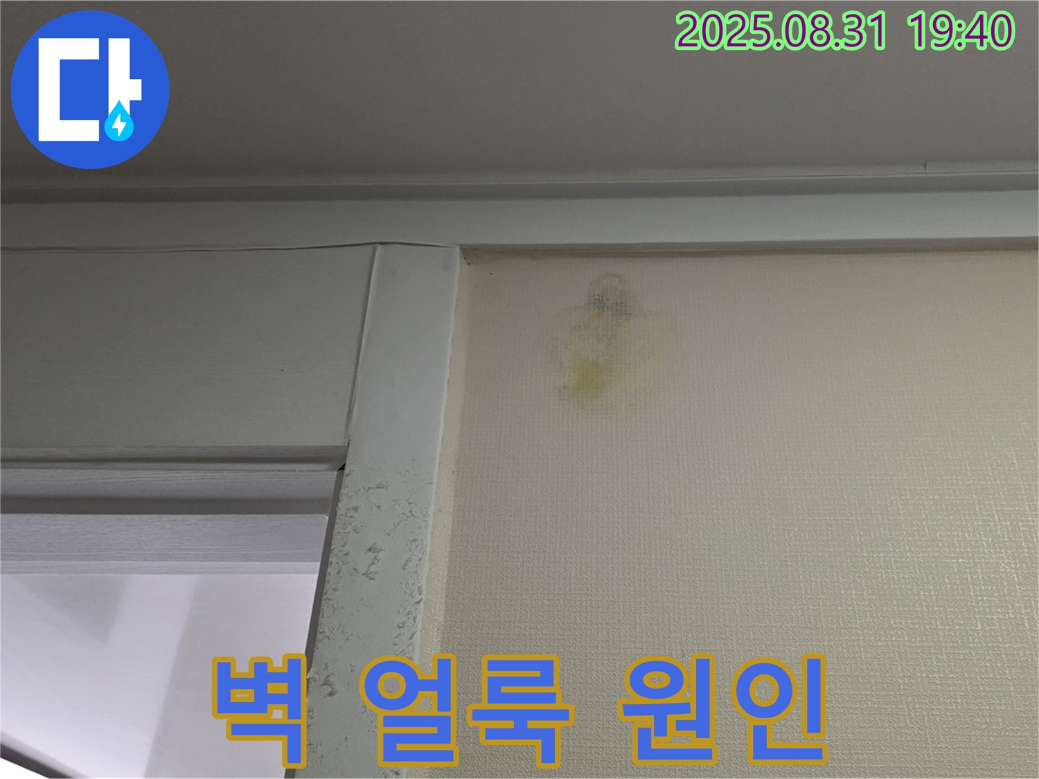벽 얼룩 원인 - 성남 분당 운중동 누수탐지