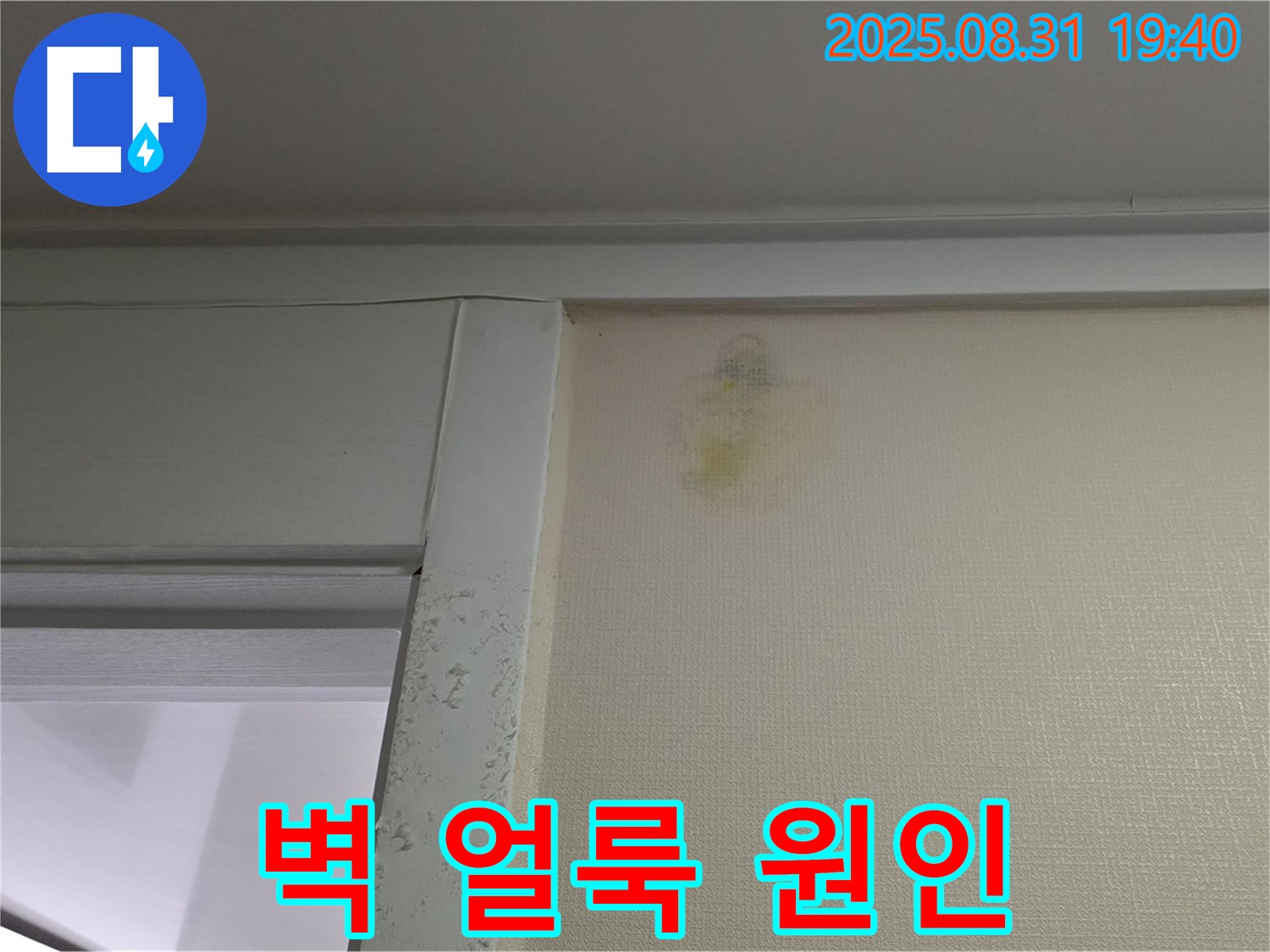 벽 얼룩 원인 - 성남 분당 정자동 누수탐지
