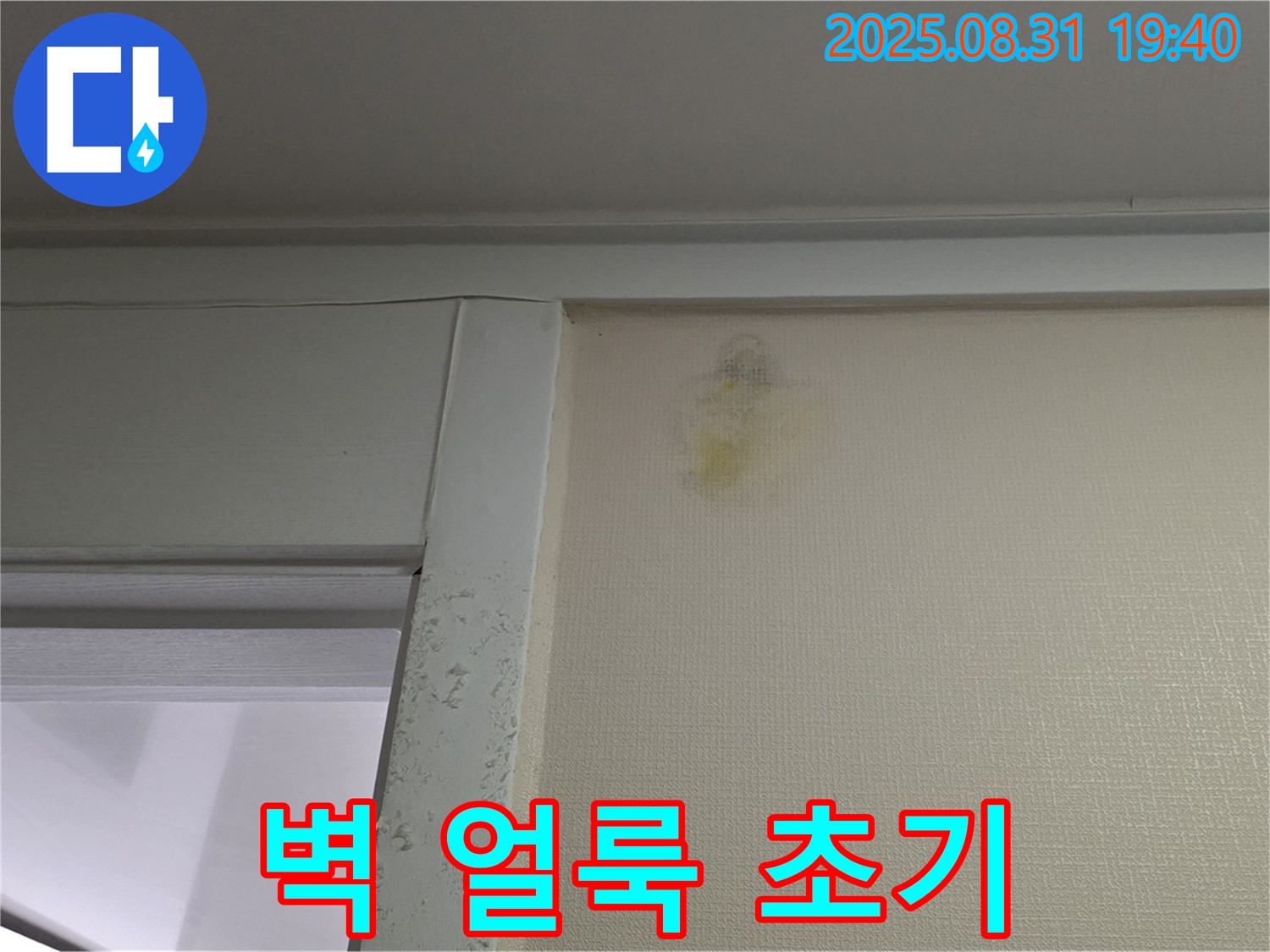 벽 얼룩 초기 증상 - 분당구 운중동 누수 의심