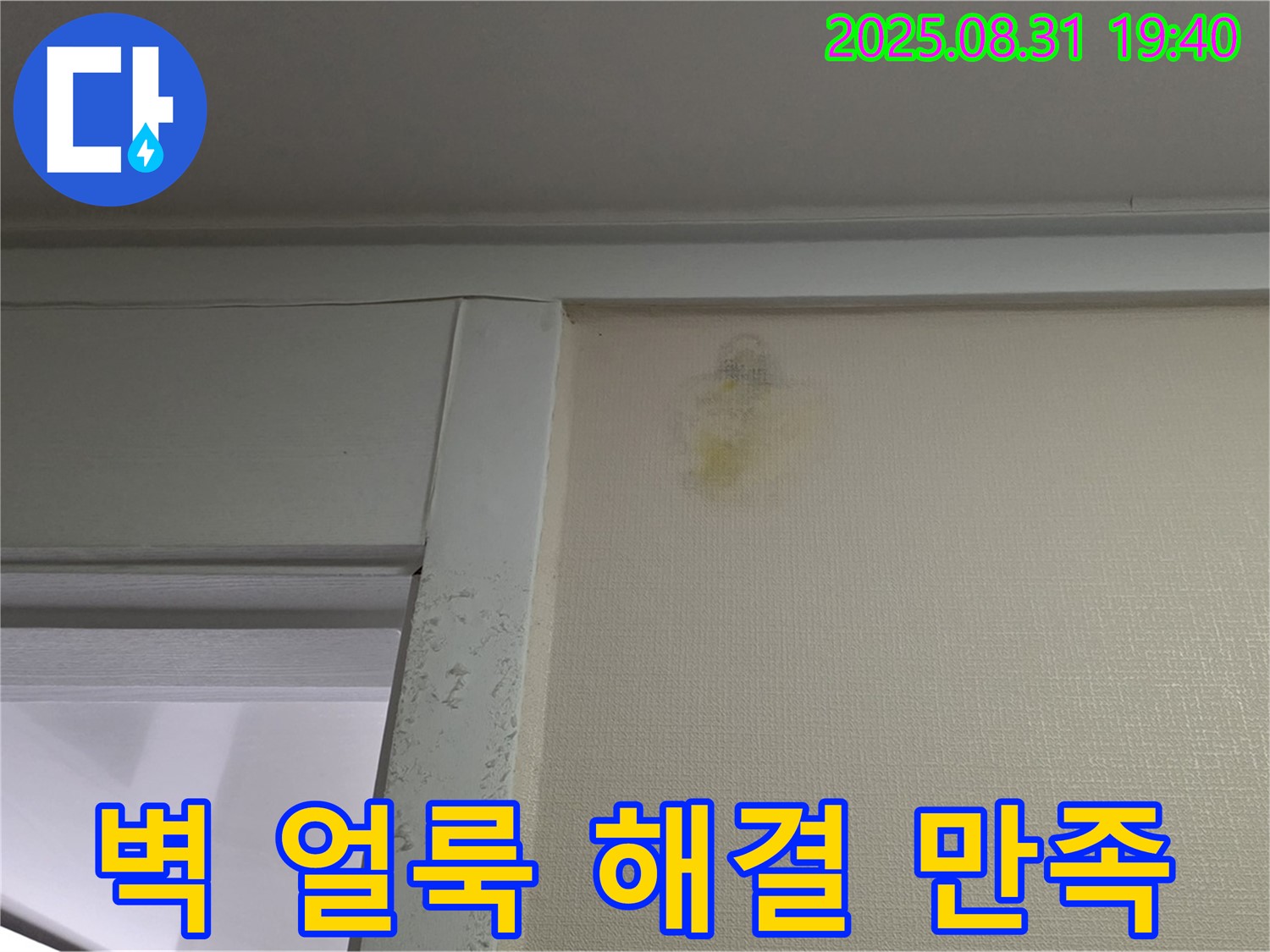 벽 얼룩 해결 - 분당 정자동 누수 - 100% 만족