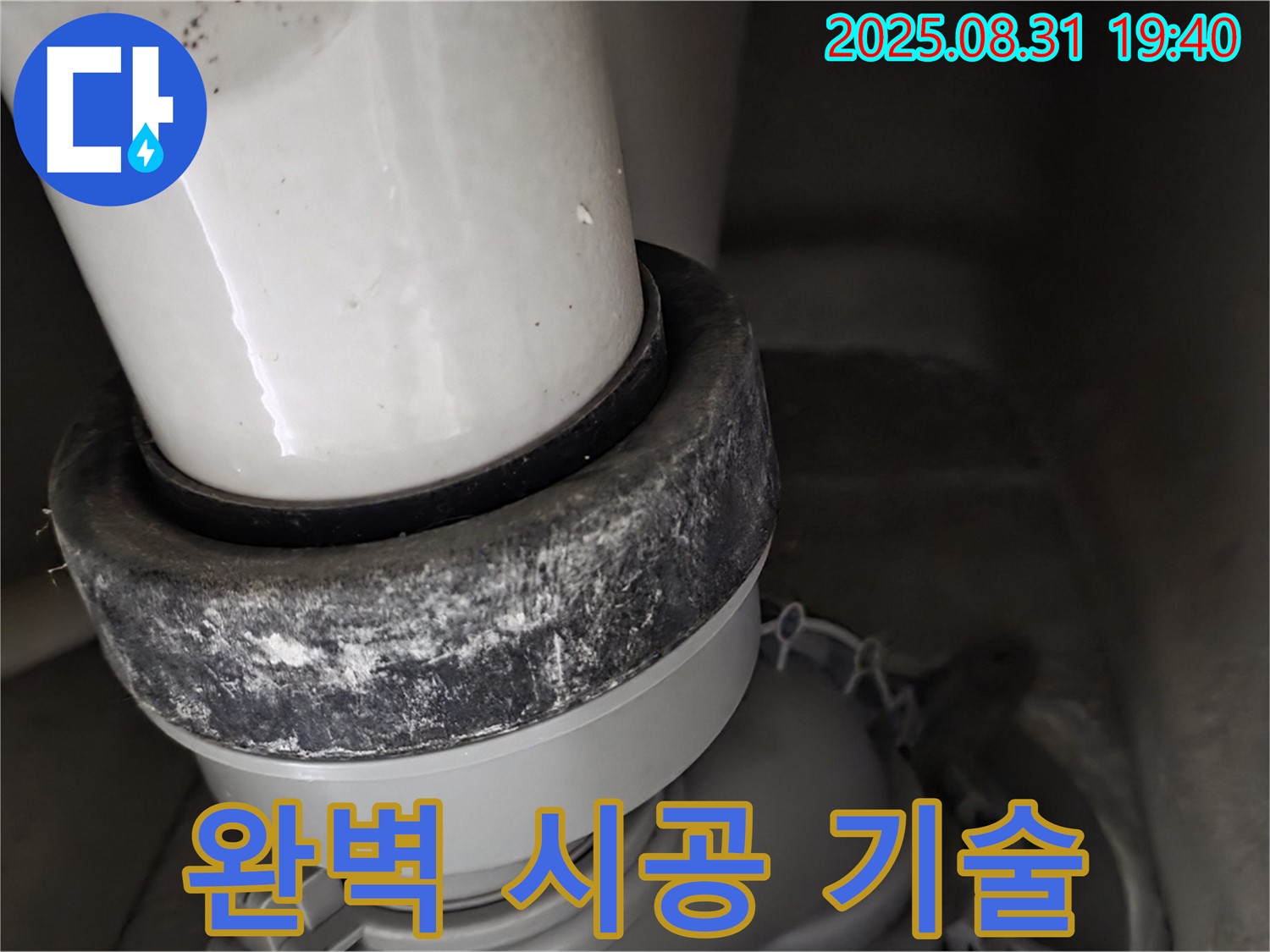 변기 누수 - 숙련된 기술 - 오염 제거