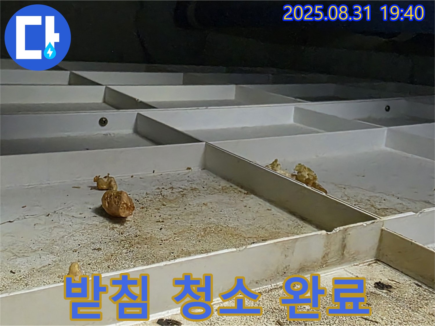 분당 구미동 누수 - 천장 배수 받침 꼼꼼하게 청소 완료