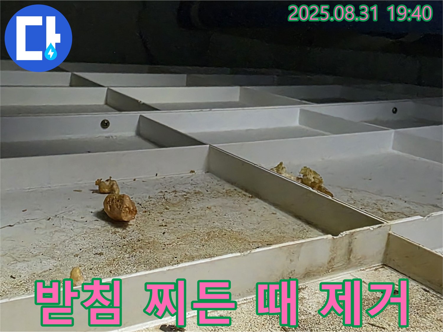 분당 구미동 누수 - 천장 배수 받침 찌든 때 말끔히 제거 완료