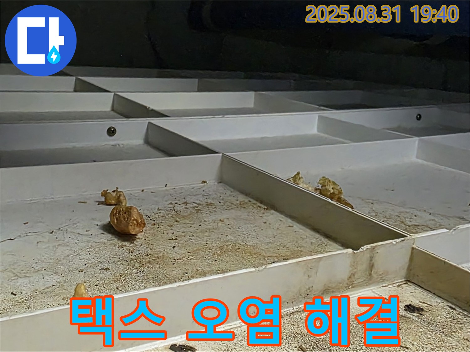 분당 구미동 누수 - 천장 택스 오염 문제 완벽하게 해결