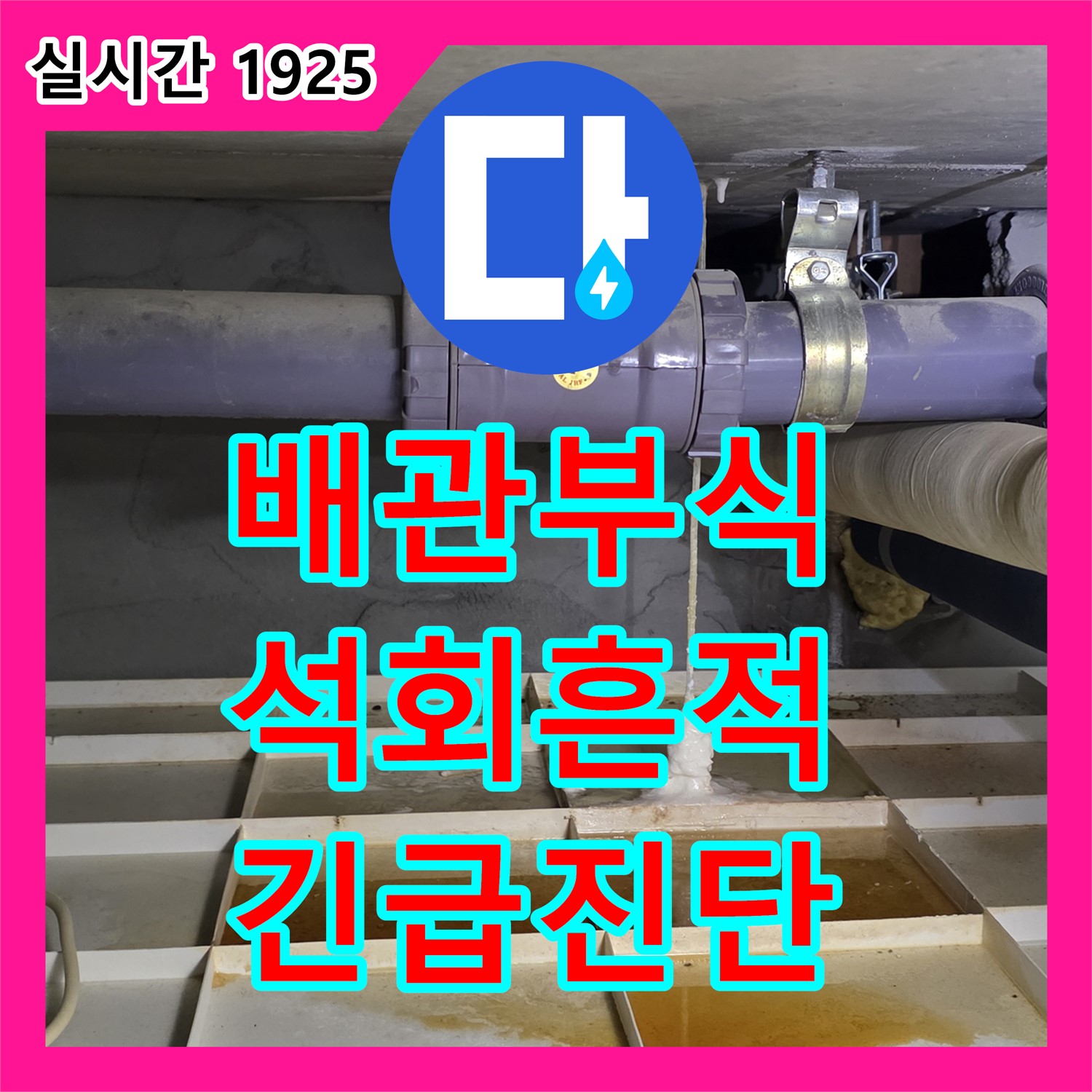 분당 누수탐지전문, 배관 부식 및 석회 흔적, 긴급 방문 진단