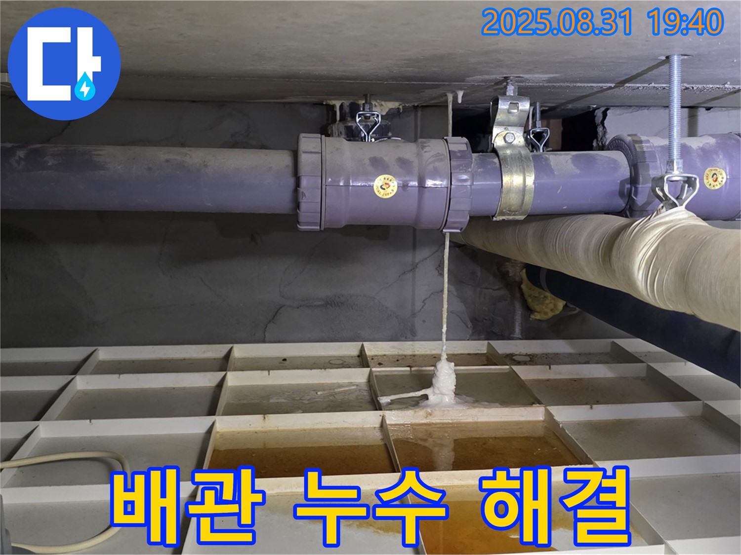 분당 산운동 누수 - 배관에서 물이 뚝뚝, 긴급 누수 해결