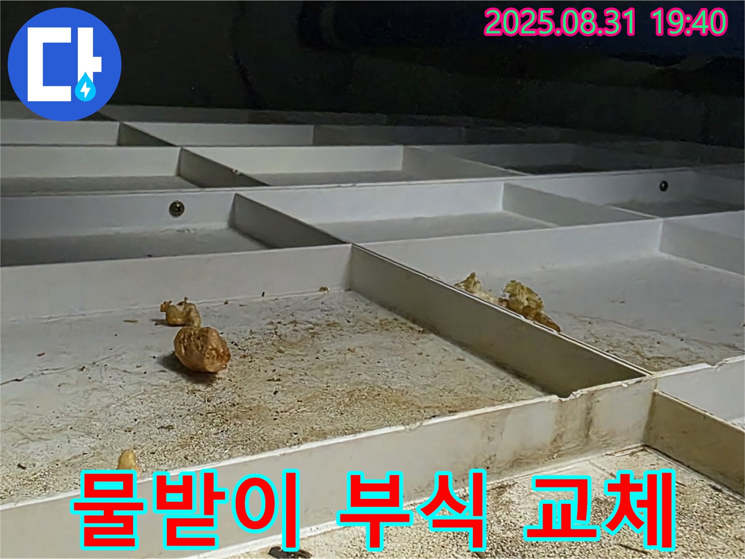 분당 산운동 누수 - 천장 SMC 물받이 부식, 교체로 누수 해결