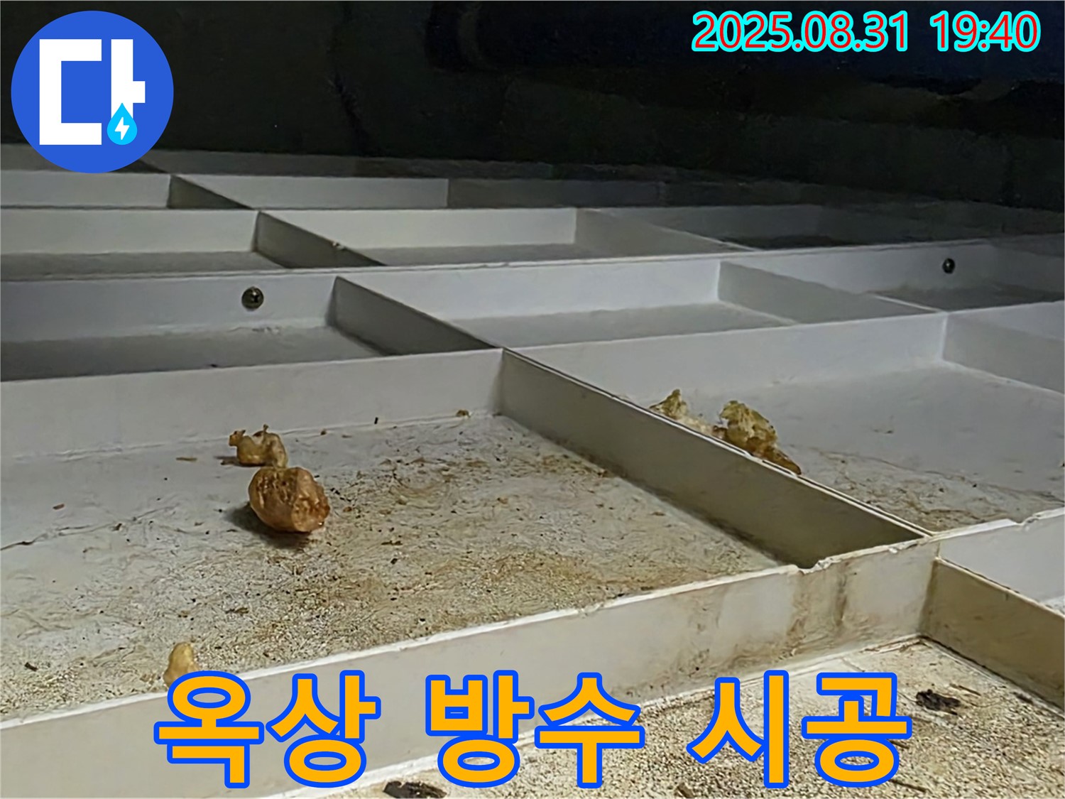 분당 산운로 121 누수 - 옥상 방수 문제, 꼼꼼한 진단과 맞춤 시공