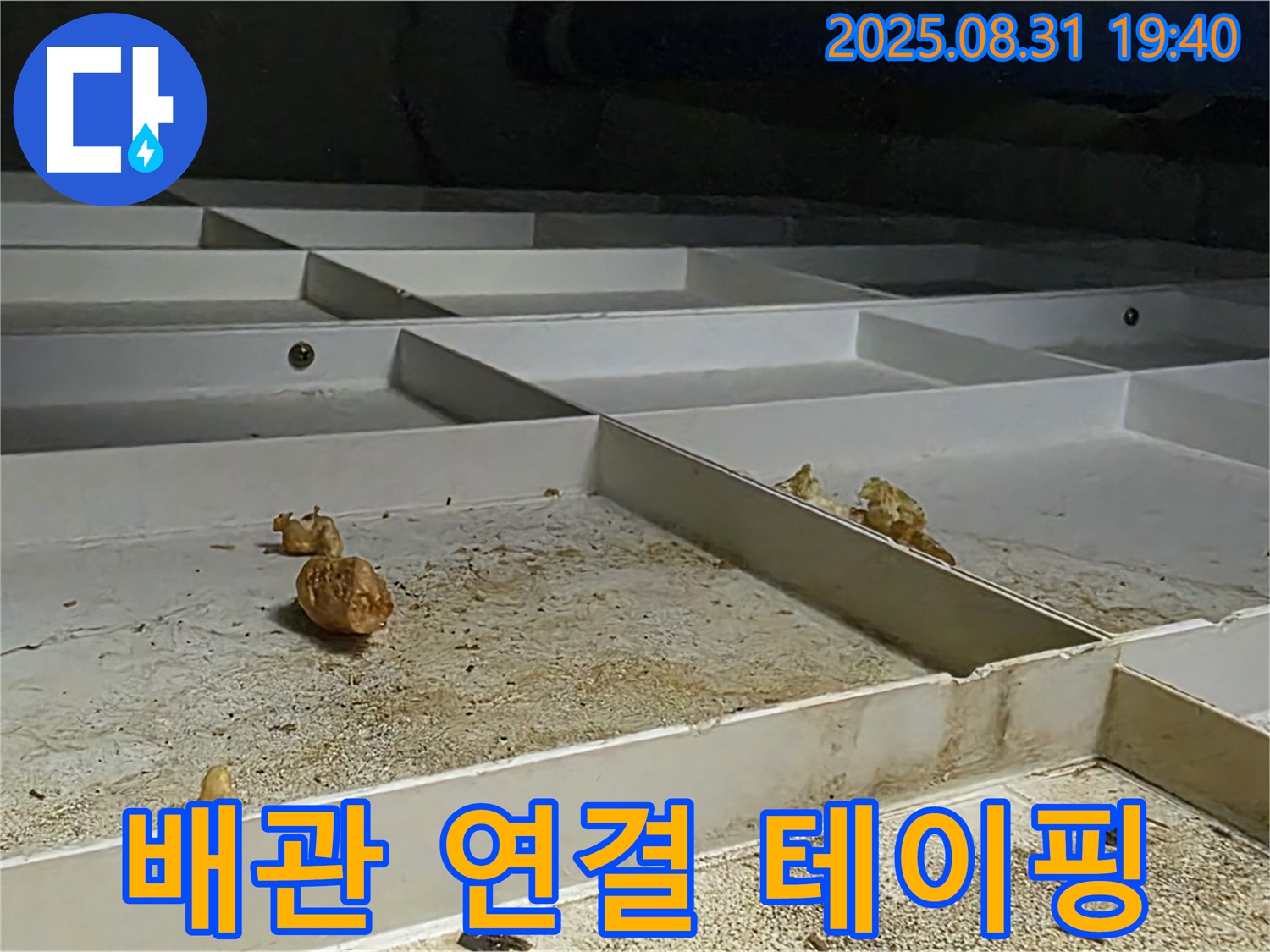 분당 산운로 121 누수 - 천장 누수, 배관 연결부 누수, 테이핑 보수