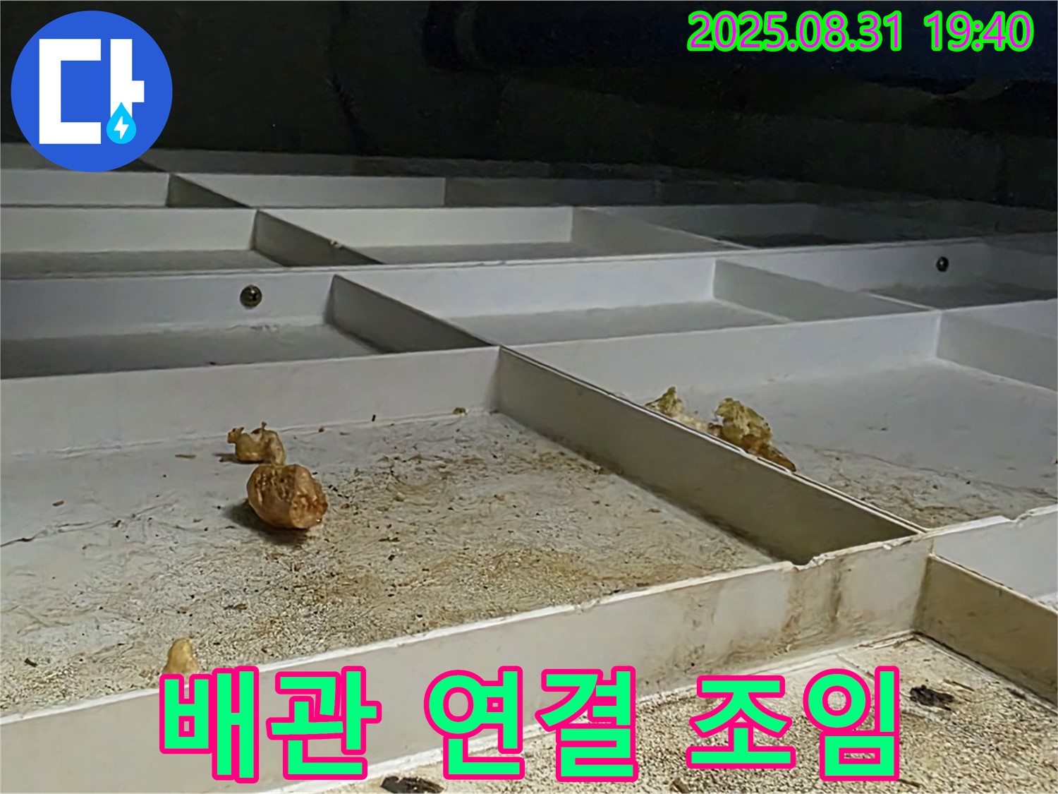 분당 산운로 121 누수 - 천장 배관 누수, 연결 부위 누수, 조임 작업으로 간단 해결