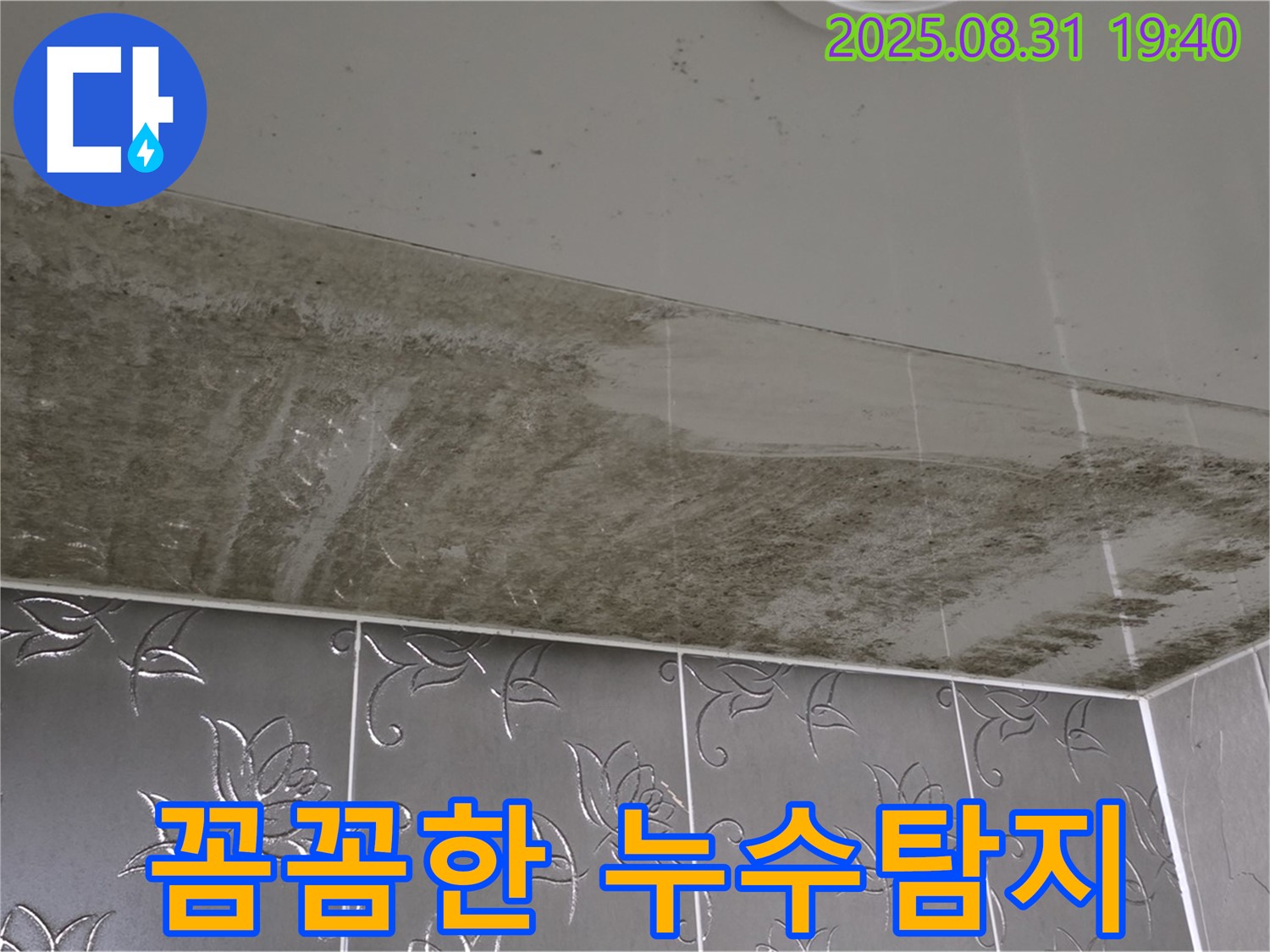 분당 산운로 - 꼼꼼한 누수탐지, 첨단 장비로 분석
