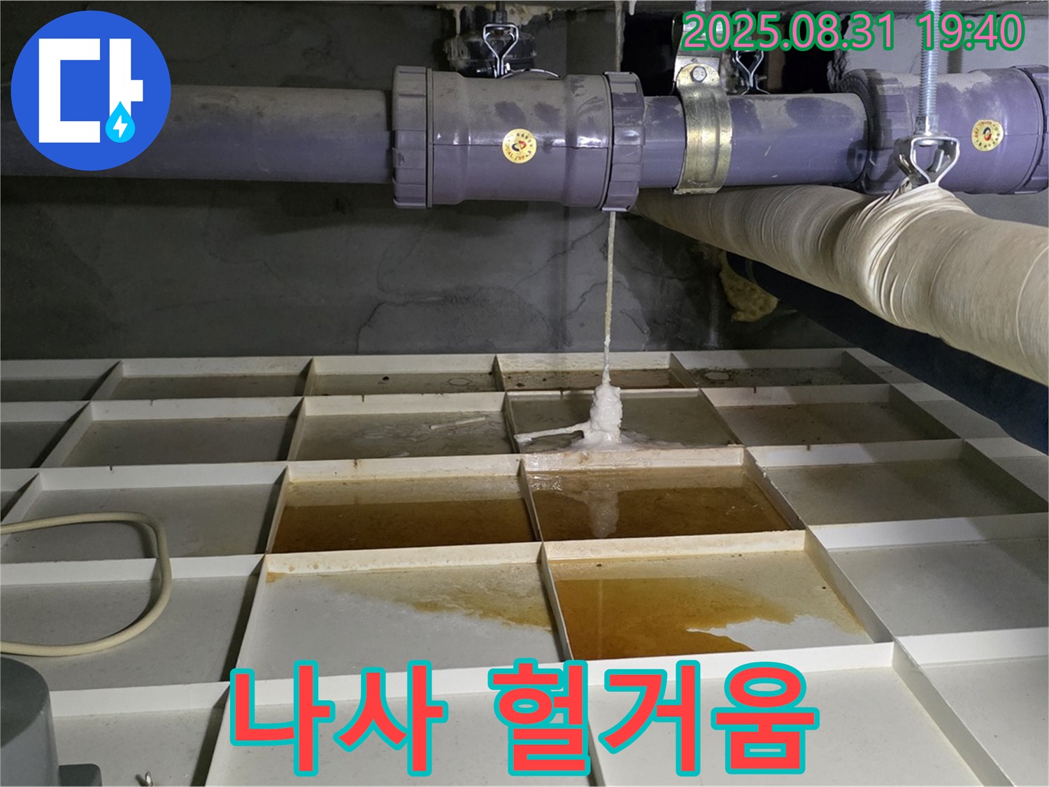 분당 산운로 누수 - 물탱크 배관 연결 나사가 헐거워졌어요 - 조임 작업으로 해결 가능.