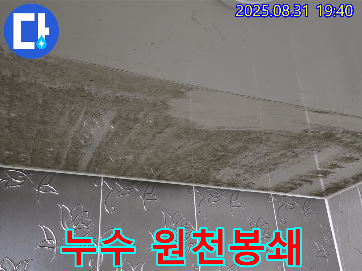 분당 산운로 - 누수 원천봉쇄 - 곰팡이 완벽 제거