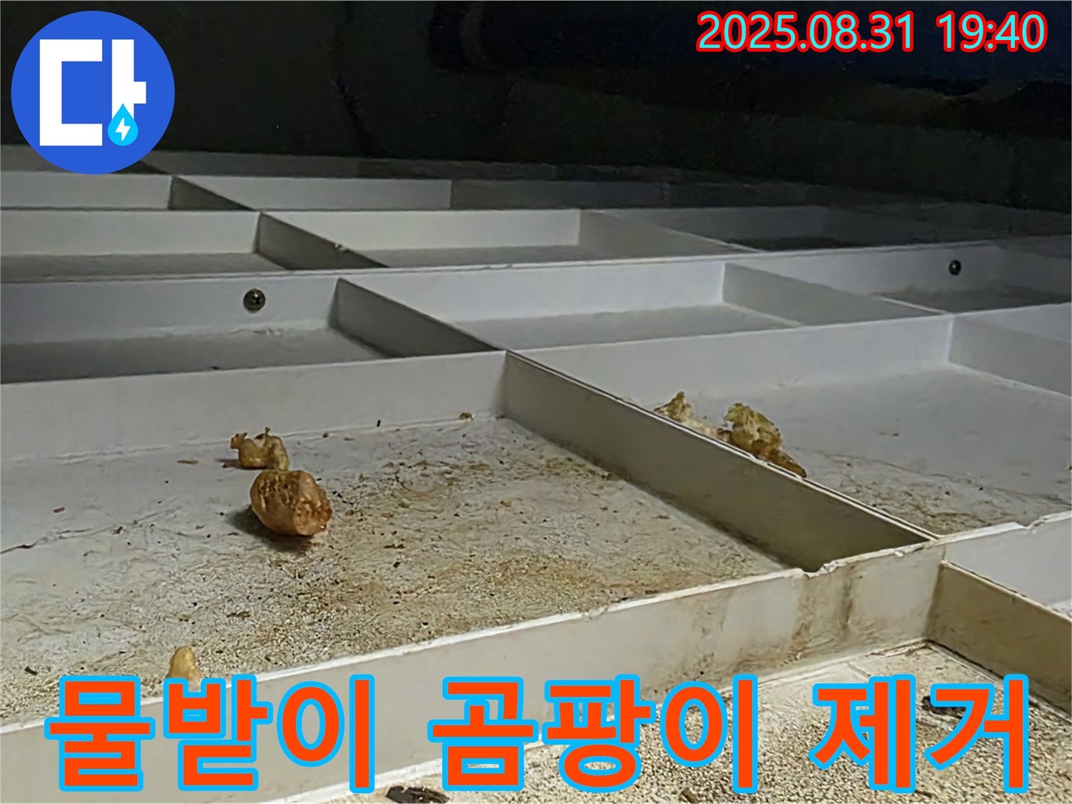 분당 산운로 누수 - 천장 SMC 물받이 곰팡이 완벽 제거 대작전
