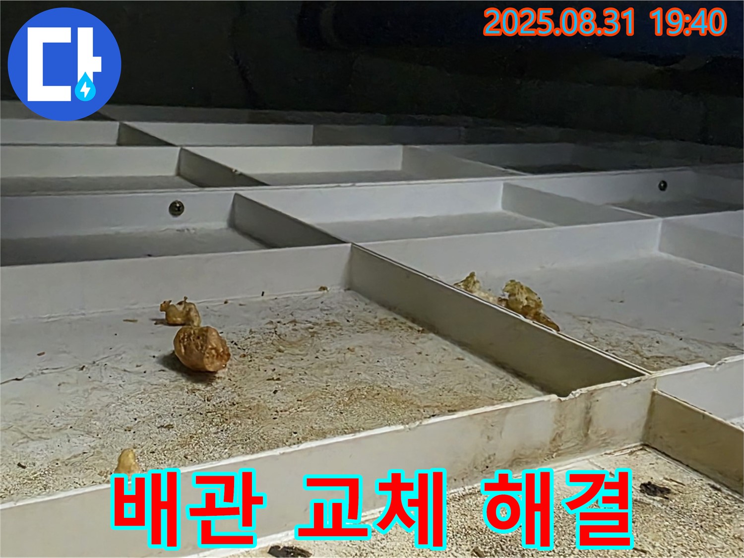 분당 산운로 누수 - 천장 누수, 노후 배관 교체로 누수 완벽 해결